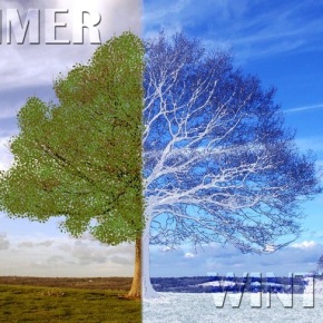 Think like summer in winter and winter in summer